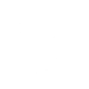 متجر الرائد الذهبي