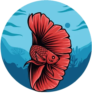 متجر bettafish_sa