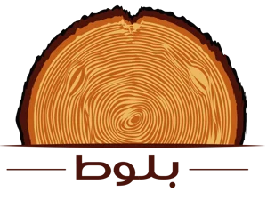 متجر بلوط