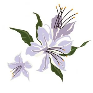 متجر زهر الاس