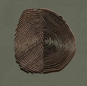 متجر نودي نورة Noeud De Bois
