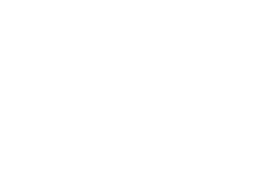 متجر ريشة ستور